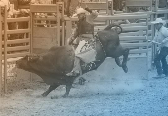 Rodeos
